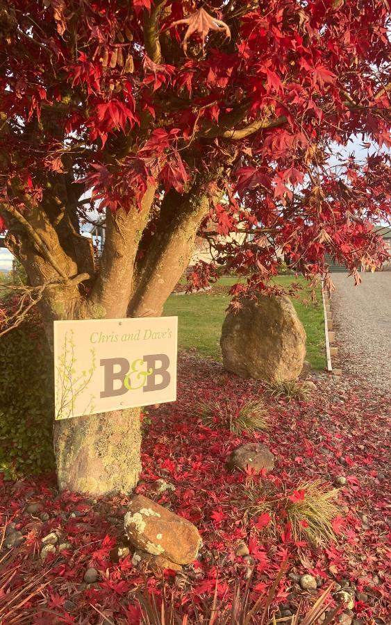 Chris And Dave'S B & B Otorohanga Eksteriør billede